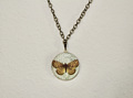 Butterfly Necklace - butterflies photo