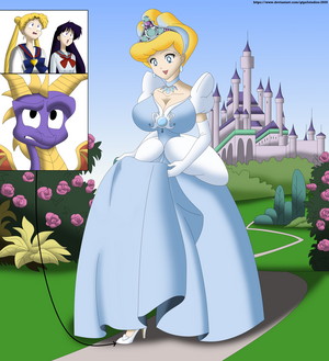 Cinderella s Visitors