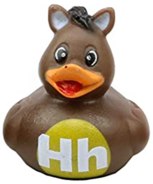  Ducks H