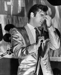 Elvis In Concert 