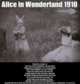 Every Alice in Wonderland adaptation reviewed #2 - alice-in-wonderland photo