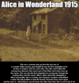 Every Alice in Wonderland adaptation reviewed #3 - alice-in-wonderland photo