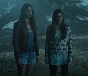  Holland and Shelley