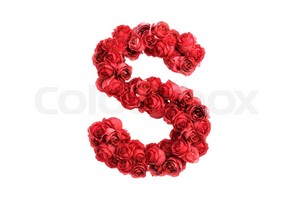  Red hoa hồng Letter S