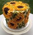 Sunflower Cake - daydreaming photo