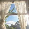 Window - daydreaming photo
