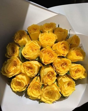  Yellow お花