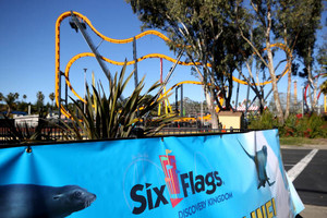 Six Flags 