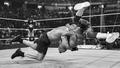Cody Rhodes vs. Brock Lesnar | WWE Backlash 2023 - wwe photo