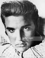 Elvis Presley - elvis-presley photo