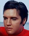 Elvis  - elvis-presley photo