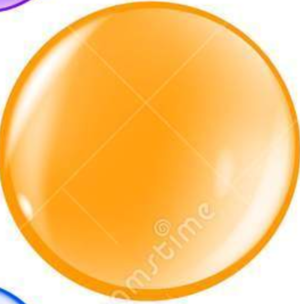  trái cam, màu da cam Bubble