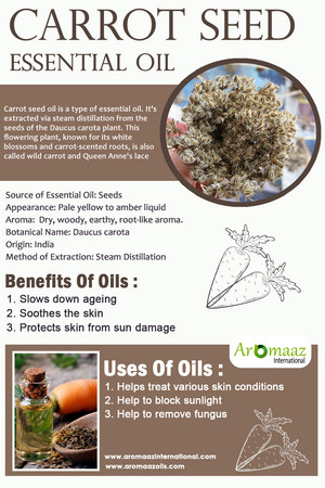  carrot seed essential oil