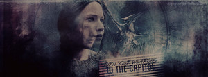  Katniss Everdeen Banner - Turn Your Weapons To The Capitol