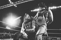 Rhea Ripley and Dominik Mysterio | WWE Liverpool 2023 - wwe photo