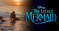 The Little Mermaid  - the-little-mermaid photo