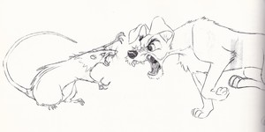  Walt Disney Sketches - The panya & The Tramp
