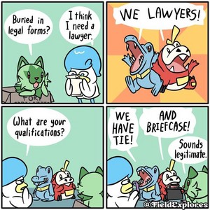  we are lawyers
