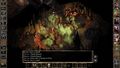 Baldur's Gate II: Enhanced Edition - video-games photo