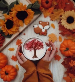  Cozy Autumn Vibes 🍂