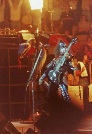 Gene ~Los Angeles, California...August 28, 1977 (Love Gun Tour)
