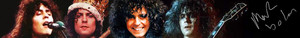  Marc Bolan Banner