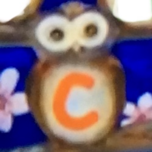 Owls C