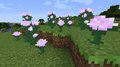 Paeonia and Peony flowers - minecraft fan art