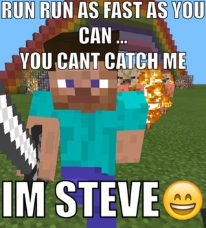  Steve meme gingerbread man