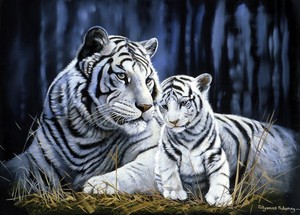 White Tigers 