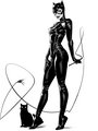 dc-comics - catwoman wallpaper