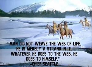  “Man did not weave the web of life, he is merely a strand in it...