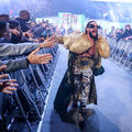  Seth "Freakin" Rollins | Men's WarGames Match | WWE Survivor Series: WarGames 2023 - wwe photo