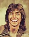 David Cassidy  - celebrities-who-died-young fan art