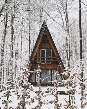  A-Frame キャビン in the woods❄️