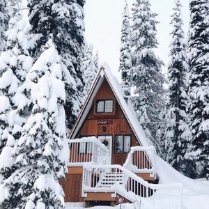  A-Frame кабина in the woods❄️