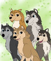 Alpha and Omega Family (by that-bandgeek) - alpha-and-omega fan art