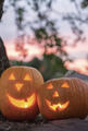 Autumn Jack-O'-Lantern Vibes 🍂🎃🍂 - autumn photo
