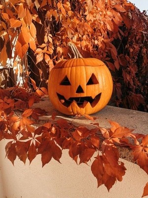  Autumn Jack-O'-Lantern Vibes 🍂🎃🍂