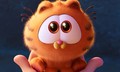 Baby Garfield | The Garfield Movie | 2024  - garfield photo
