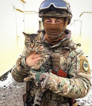  猫 In The Military