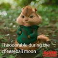 Cheeeseball moon - alvin-and-the-chipmunks photo