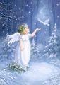 Christmas Angels🎄 - angels photo