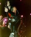 Gene ~St. Austell, Inglaterra...October 2, 1984 (Animalize Tour) - kiss photo