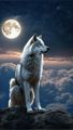 Guided By The Moon💙 - wolves photo