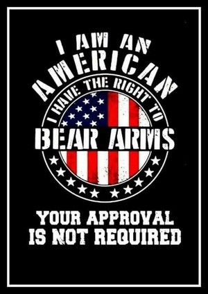  I Am An American I Have The Right To برداشت, ریچھ Arms Your Approval Is Not Required