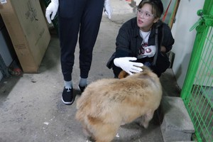 Jeongyeon at the 'Help Dog' Abandoned Dog Shelter