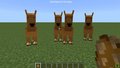 Minecraft Camel Alpha Model - minecraft fan art