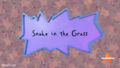 Rugrats (2021) - Snake in the Grass Title Card - rugrats photo