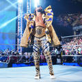 Seth 'Freakin' Rollins: World Heavyweight Championship Last Man Standing Match - wwe photo